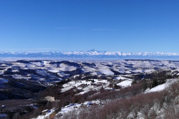 Mountain Monviso in the back