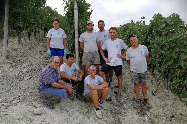 The winery team at harvest