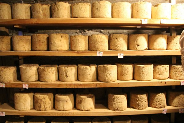 Castelmagno cheese